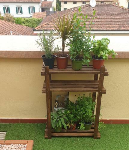 Apartamento Attico Montecatini
