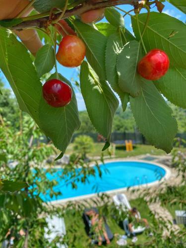 Bed & Breakfast Villa Aresini