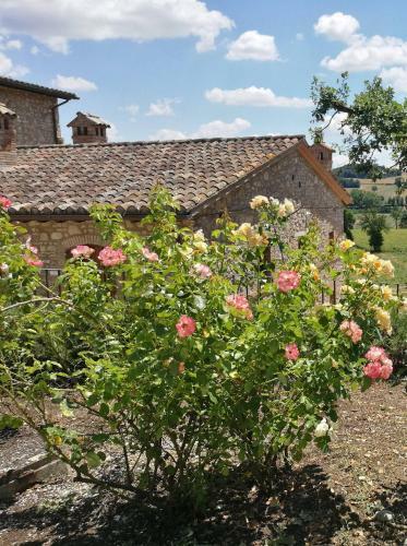 Comfortable Apartment In Umbria