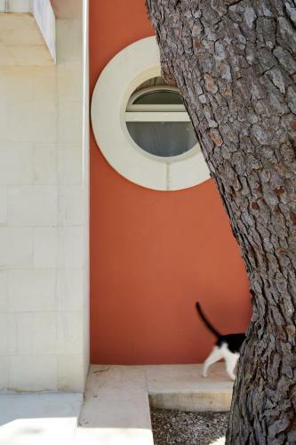 Agroturismo Petra - Country House