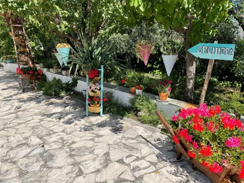 Casa Vacanza Orchidea Vicino A Mattinata Gargano