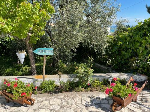 Casa Vacanza Orchidea Vicino A Mattinata Gargano