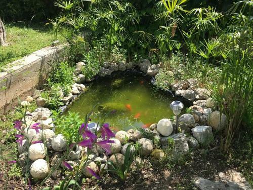 Casa Vacanza Orchidea Vicino A Mattinata Gargano