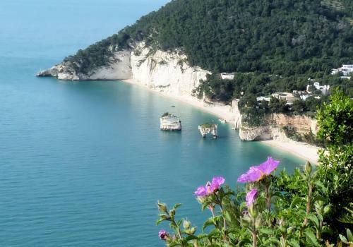 Casa Vacanza Orchidea Vicino A Mattinata Gargano