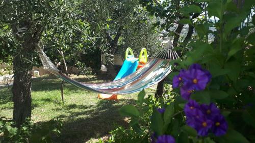 Casa Vacanza Orchidea Vicino A Mattinata Gargano