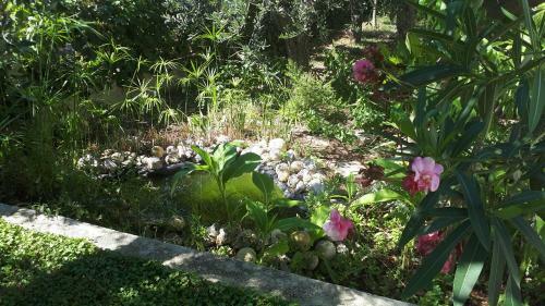 Casa Vacanza Orchidea Vicino A Mattinata Gargano