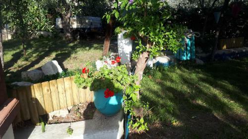 Casa Vacanza Orchidea Vicino A Mattinata Gargano