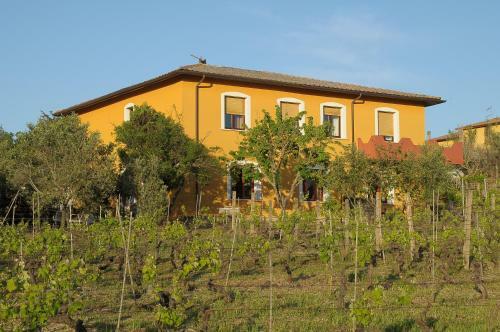 Il Ciliegio Apartment