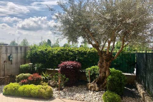 Apartamento La Casa Di Leo