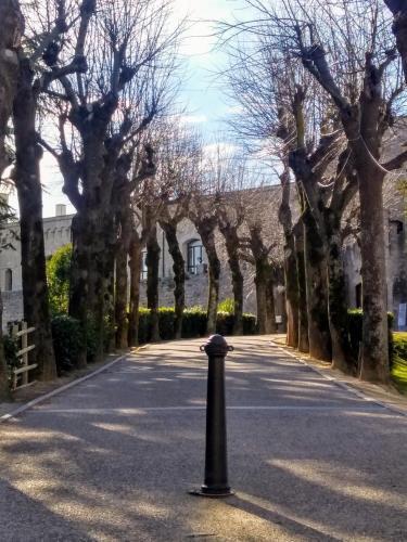 Apartamento La Torre Del Conte