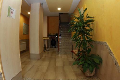 Hostal Torres