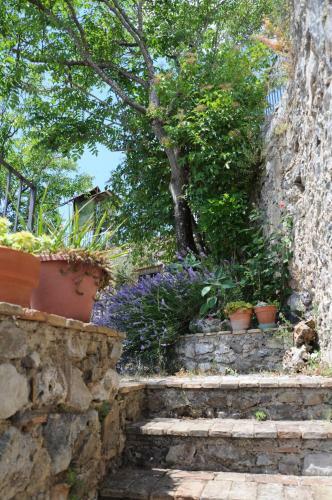 Apartamento Il Nibbio - Casa Dell'artista
