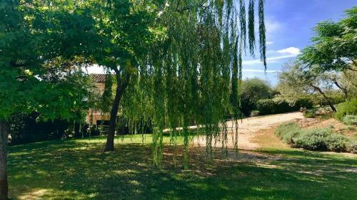 Villa Spoleto Tranquilitapoolslps 20spoleto 15 Mins