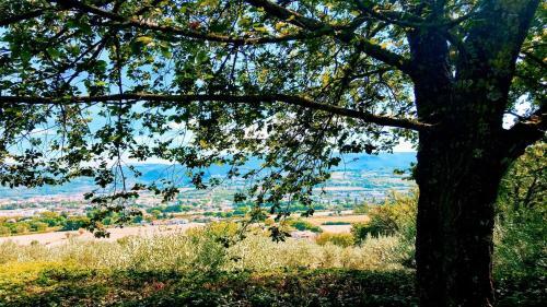 Villa Spoleto Tranquilitapoolslps 20spoleto 15 Mins