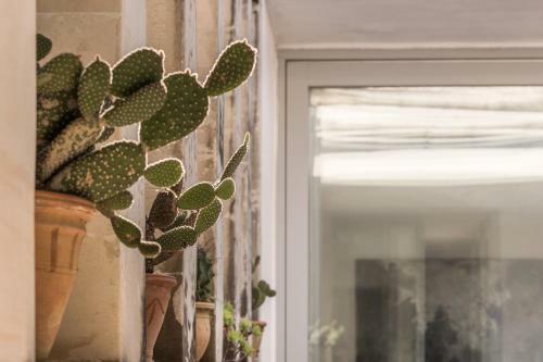 Apartamento Casina In Un Palazzo Storico