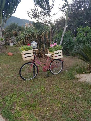 Bed & Breakfast Su Cunventu