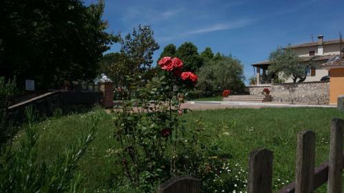 Apartamento Scappo In Umbria, Nelle Vigne