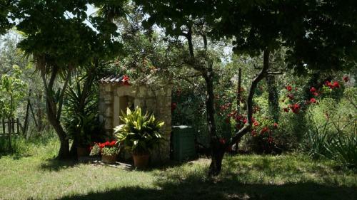 Apartamento Scappo In Umbria, Nelle Vigne