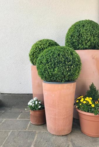 Hostal Hotel Quellenhof