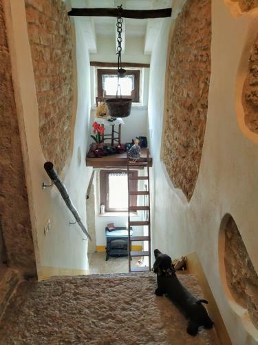 Apartamento Dolci Vecchi Ricordi In Valpolicella