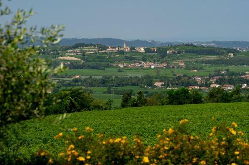 Lodge Villa Vitis