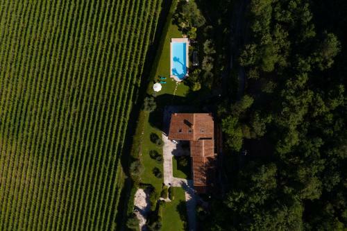 Lodge Villa Vitis