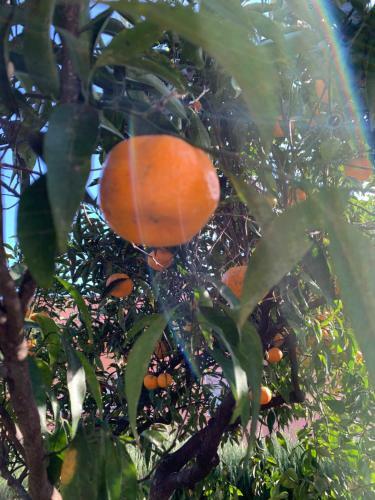 Villa Giolu