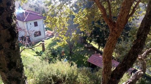 Bed & Breakfast Chalet Reventino