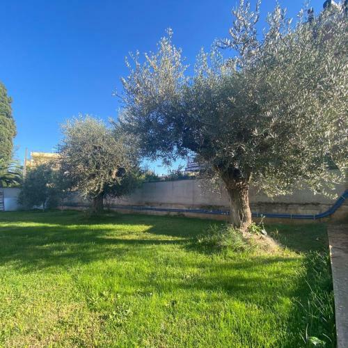 B&B Corvara