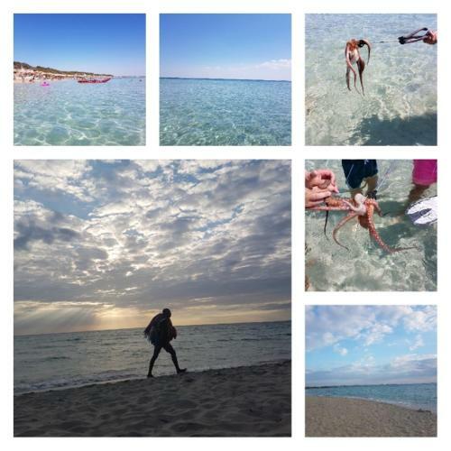 Apartamento Salento - Casa Vacanza Di Diana Carcagni
