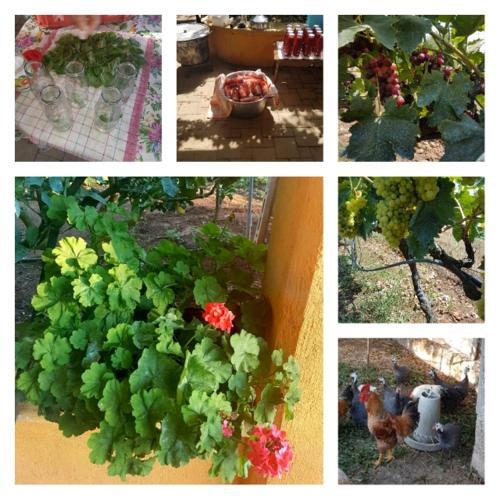 Apartamento Salento - Casa Vacanza Di Diana Carcagni