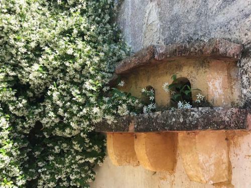 Bed & Breakfast La Fragna