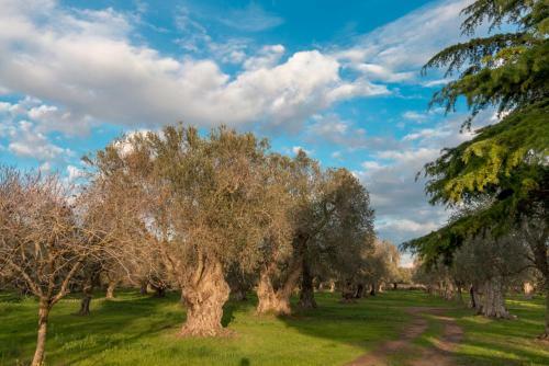 Bed & Breakfast La Fragna