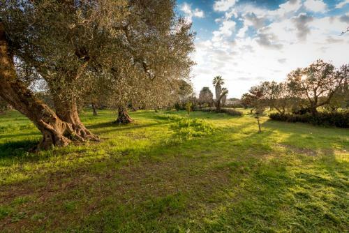 Bed & Breakfast La Fragna