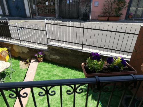 Bed & Breakfast B & B Amici Dell'etna