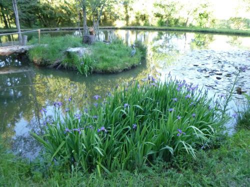 Apartamento Brigitte Karst