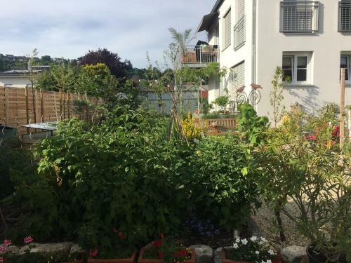 Apartamento Ferienwohnung Im Herzen Von Kelheim