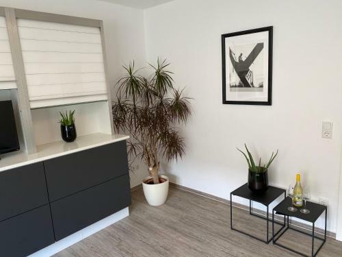 Apartment Im Zentrum