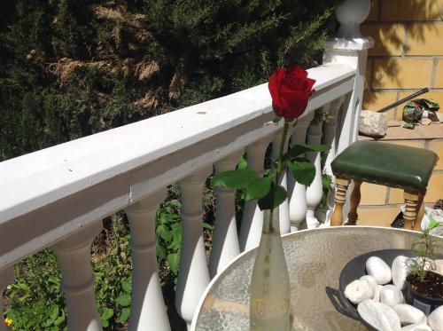 Agroturismo Country Village Bed And Breakfast