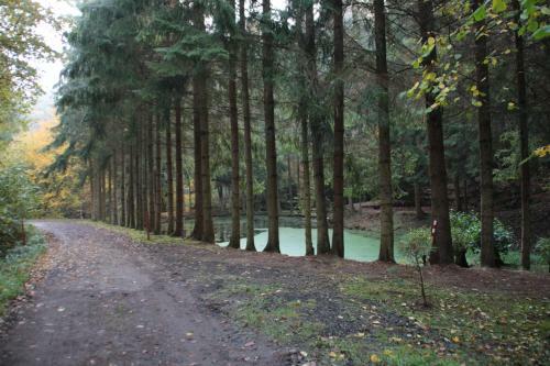 Ferienhaus Am See Im Bergland "schmetterling"