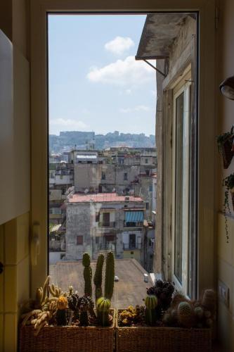 Bed & Breakfast Cerasiello
