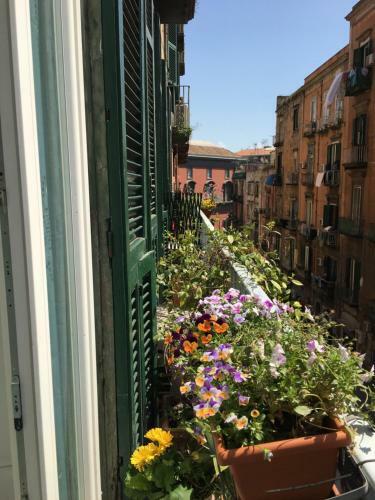 B&B Arte E Musei