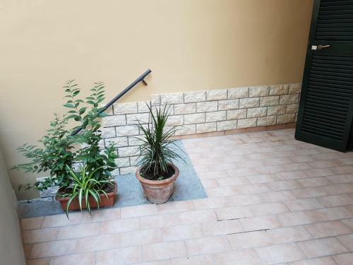 Apartamento Vincent's Home