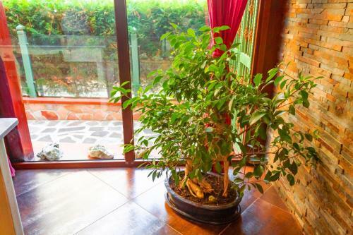 Hostal Camera E Spa