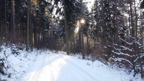Apartamento Ferienwohnung Bergblick