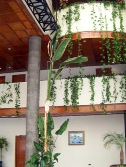 Don Angel Hotel