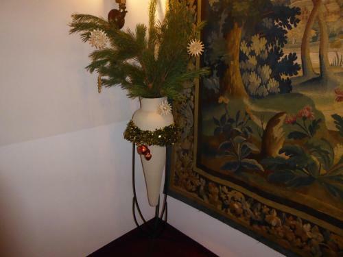 Hostal Hotel Haus Appelberg