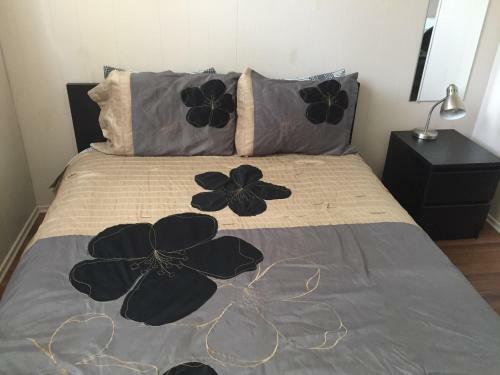 College Park B&B