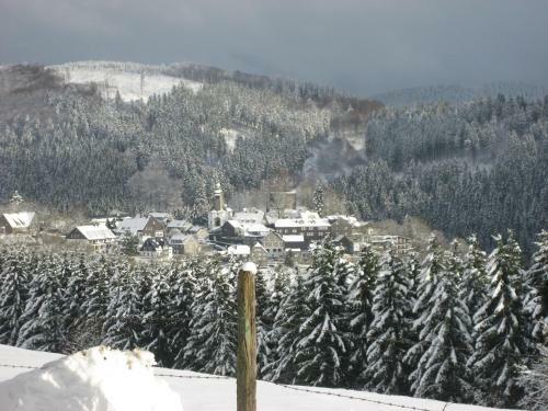 Hostal Pension Hampel