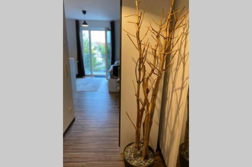 Stylisches Apartment Im Zentrum Von Kleve
